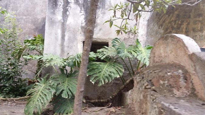 (86) Complesso Monastico - Giardino dei Novizi